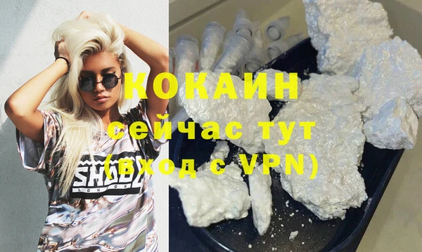 шишки Дмитриев