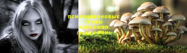 трава Дмитров