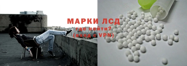 шишки Дмитриев