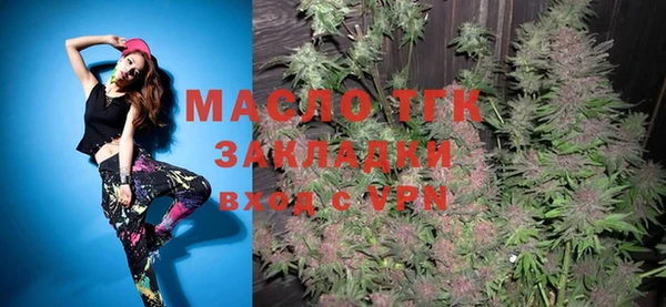 шишки Дмитриев