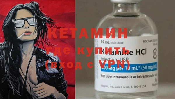 шишки Дмитриев